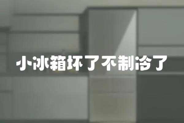 小冰箱壞了不制冷了
