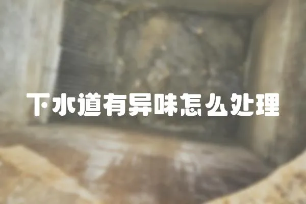 下水道有異味怎么處理