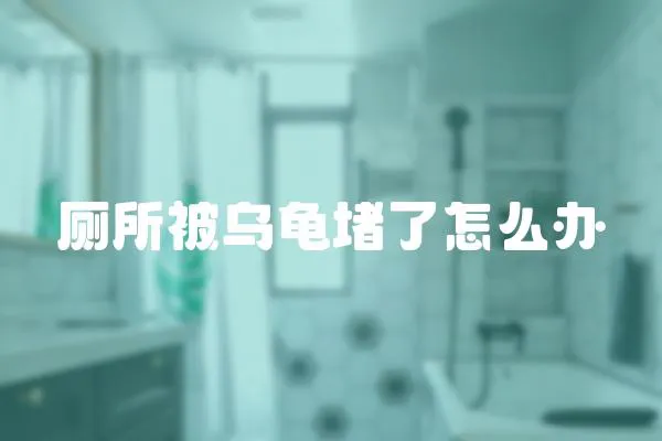 廁所被烏龜堵了怎么辦