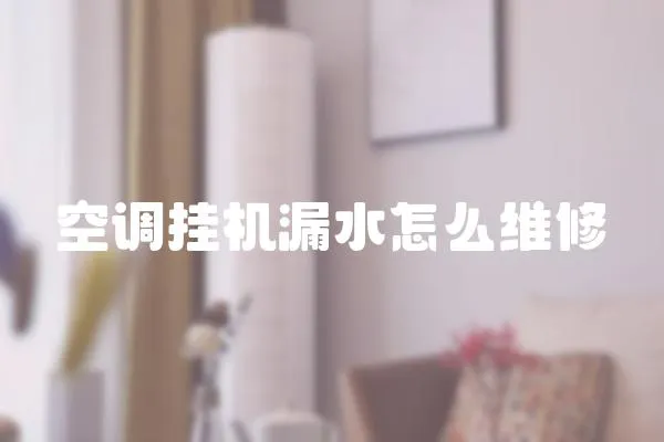 空調(diào)掛機漏水怎么維修