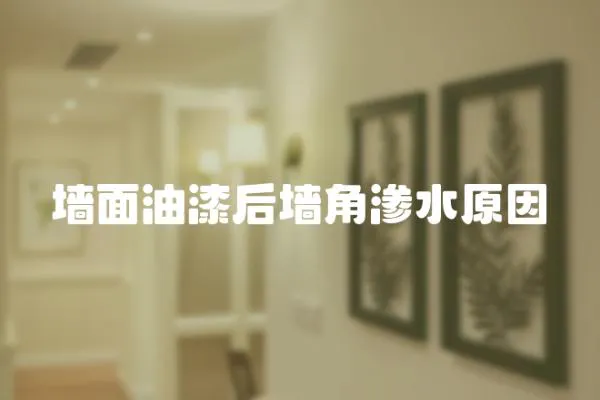 墻面油漆后墻角滲水原因