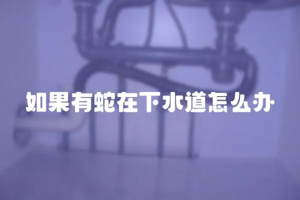 如果有蛇在下水道怎么辦