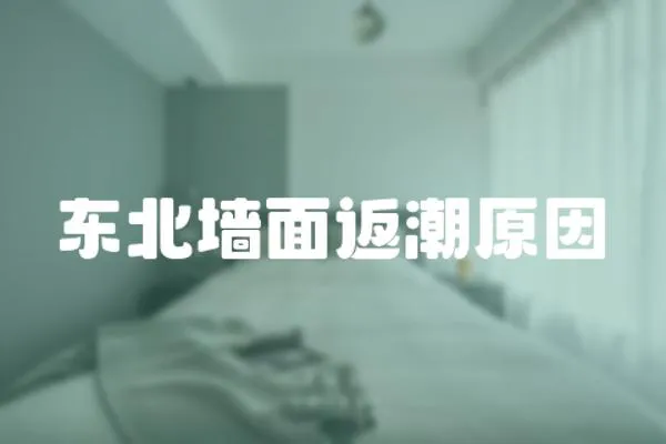 東北墻面返潮原因