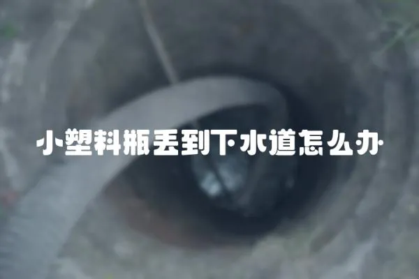 小塑料瓶丟到下水道怎么辦