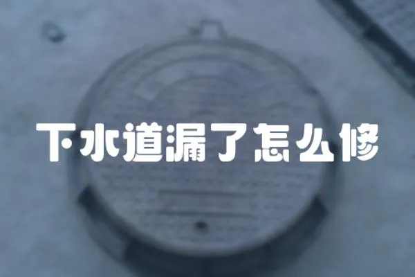 下水道漏了怎么修