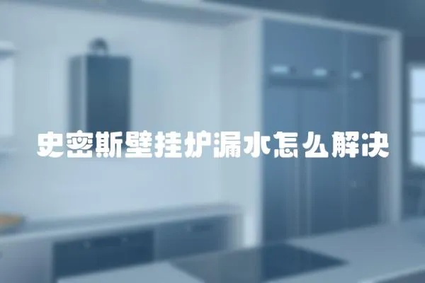 史密斯壁掛爐漏水怎么解決