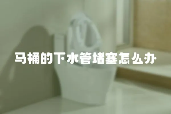 馬桶的下水管堵塞怎么辦