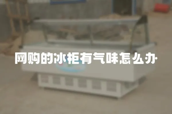 網(wǎng)購的冰柜有氣味怎么辦