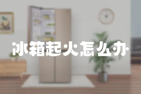 冰箱起火怎么辦