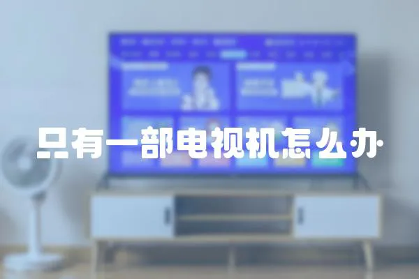只有一部電視機怎么辦