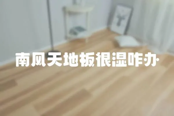 南風天地板很濕咋辦