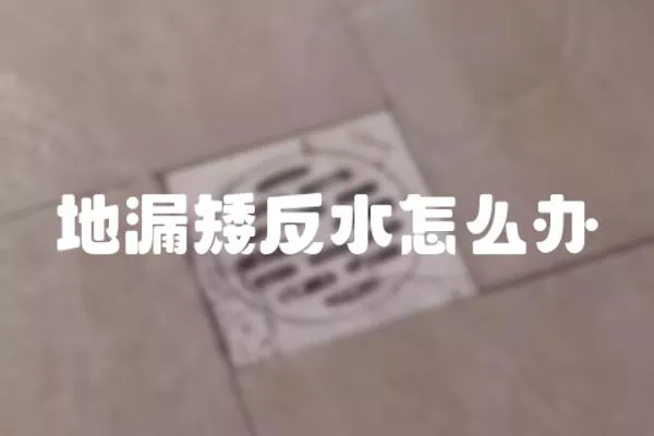 地漏矮反水怎么辦