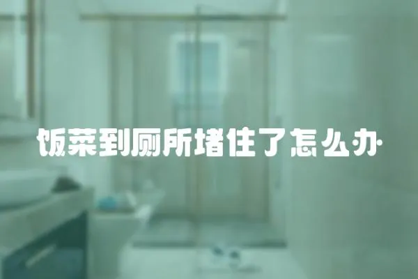 飯菜到廁所堵住了怎么辦