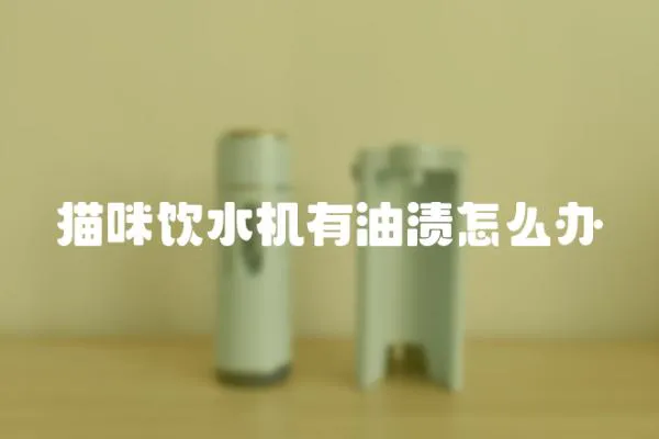 貓咪飲水機有油漬怎么辦