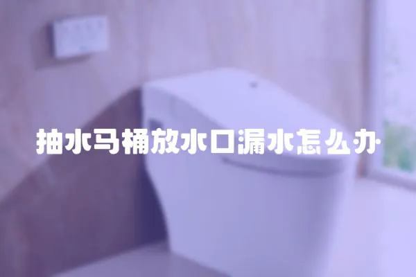 抽水马桶放水口漏水怎么办