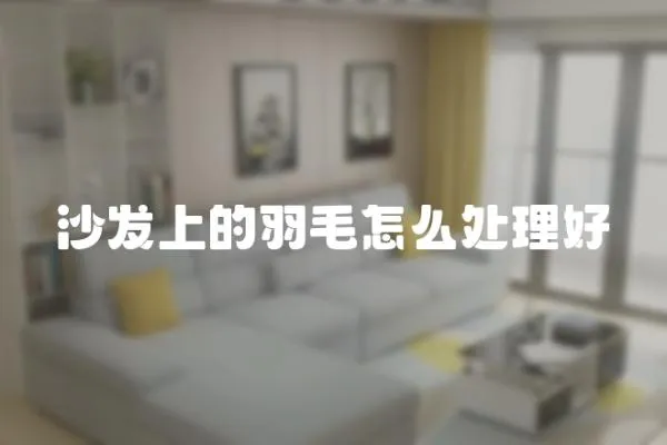 沙發(fā)上的羽毛怎么處理好