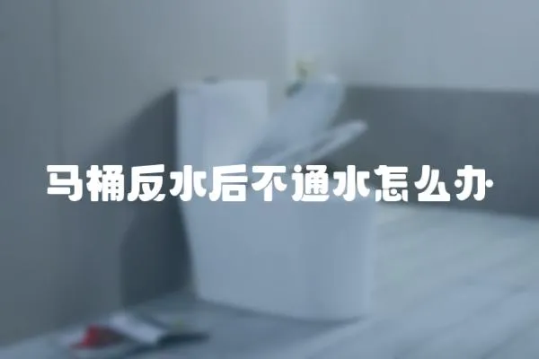 馬桶反水后不通水怎么辦