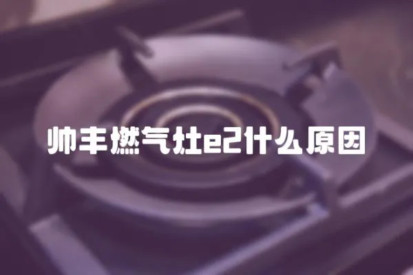 帥豐燃氣灶e2什么原因