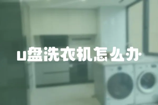 u盤洗衣機怎么辦