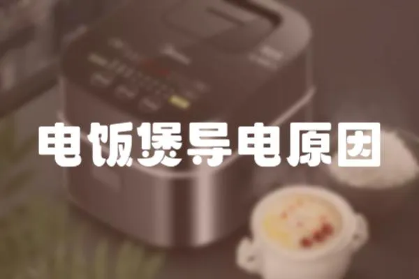 電飯煲導(dǎo)電原因