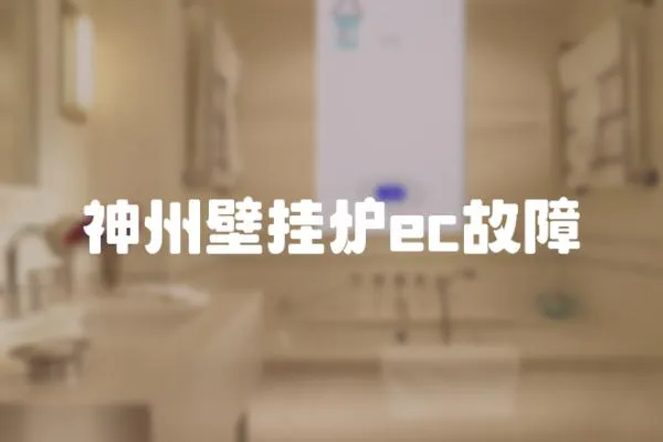神州壁掛爐ec故障