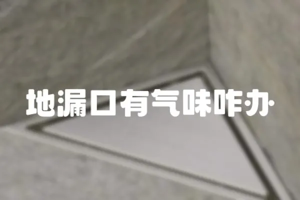 地漏口有氣味咋辦