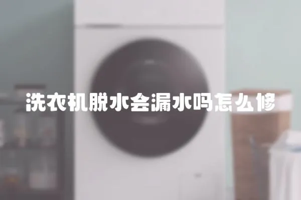 洗衣機脫水會漏水嗎怎么修