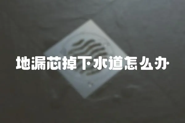 地漏芯掉下水道怎么辦