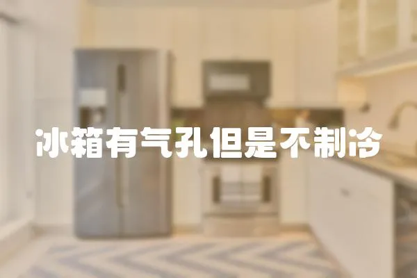 冰箱有氣孔但是不制冷