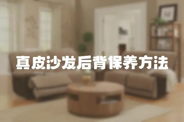 真皮沙發后背保養方法