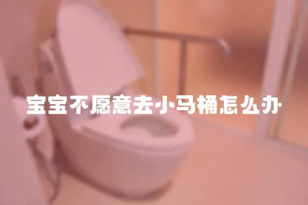 寶寶不愿意去小馬桶怎么辦