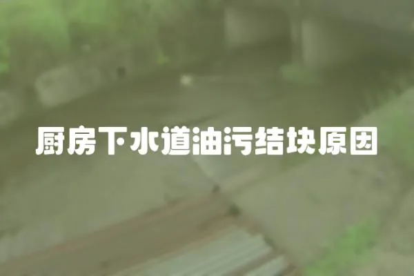 廚房下水道油污結(jié)塊原因