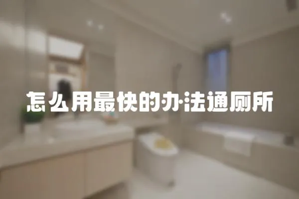 怎么用最快的辦法通廁所