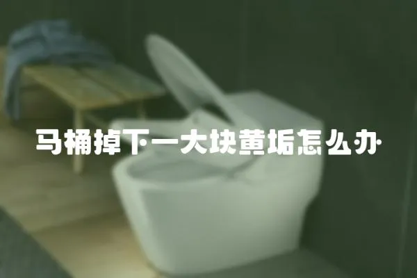 馬桶掉下一大塊黃垢怎么辦