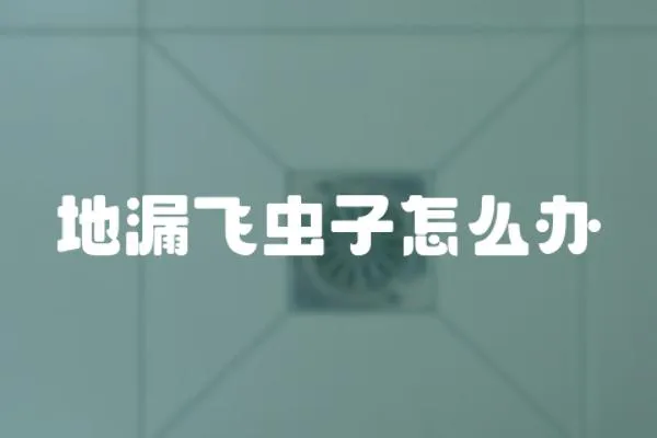 地漏飛蟲子怎么辦