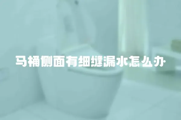 馬桶側面有細縫漏水怎么辦