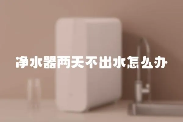 凈水器兩天不出水怎么辦