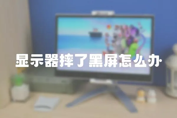 顯示器摔了黑屏怎么辦