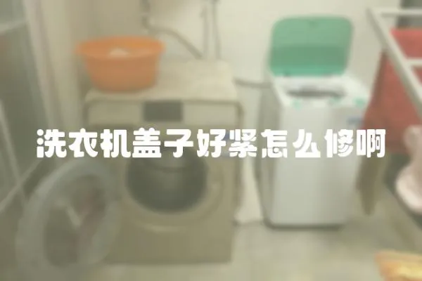 洗衣機蓋子好緊怎么修啊
