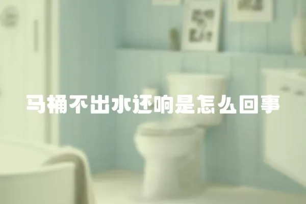 馬桶不出水還響是怎么回事