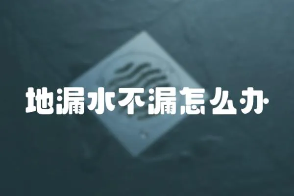 地漏水不漏怎么辦