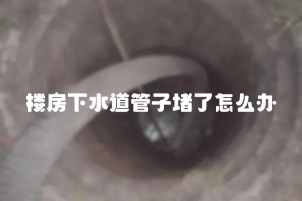 樓房下水道管子堵了怎么辦