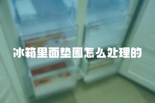 冰箱里面墊圈怎么處理的