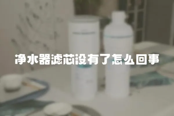 净水器滤芯没有了怎么回事