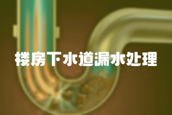 樓房下水道漏水處理