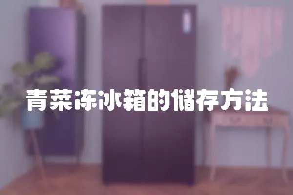 青菜凍冰箱的儲存方法