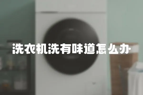 洗衣機洗有味道怎么辦