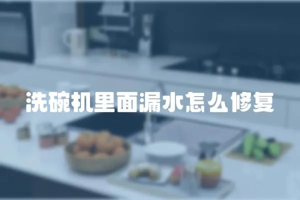 洗碗機里面漏水怎么修復(fù)