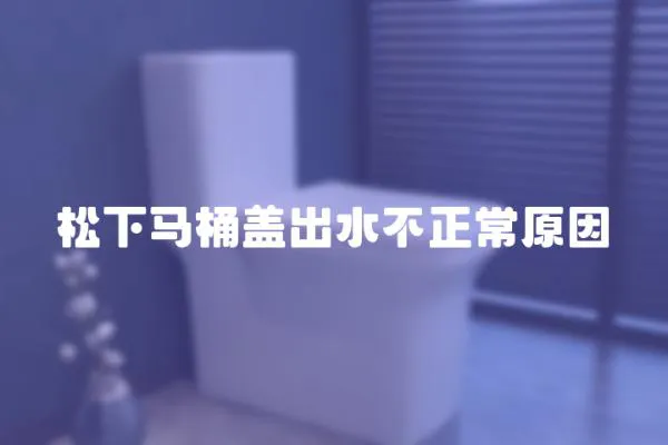 松下馬桶蓋出水不正常原因