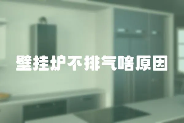 壁掛爐不排氣啥原因